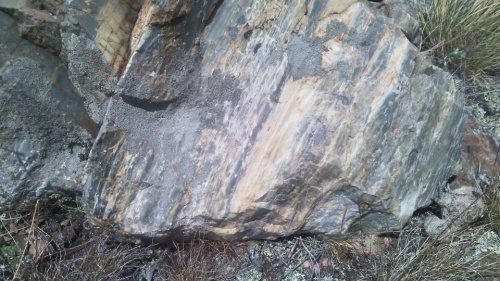 Гигантские зелёные валуны для ландшафтного дизайна весом более 5 тонн купить в Дегтярске